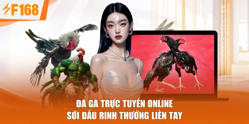 Đá Gà Trực Tuyến Online - Sới Đấu Rinh Thưởng Liền Tay