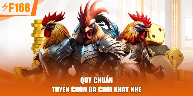 Quy chuẩn tuyển chọn gà chọi khắt khe